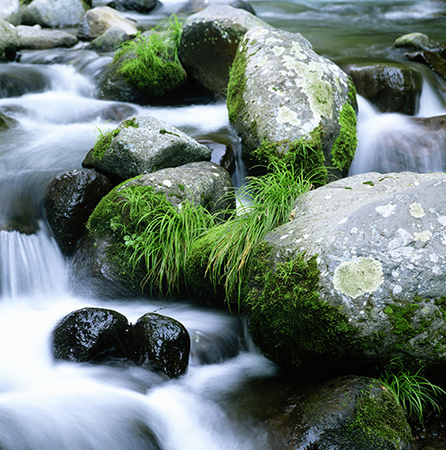 Image of river and rocks near Capital Dental Center.